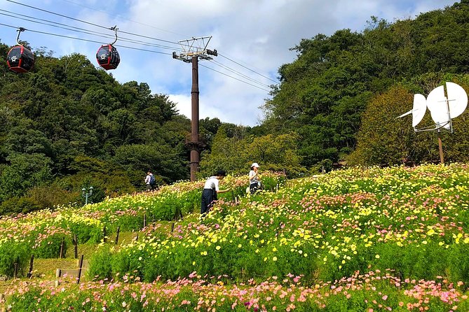 1-Day Kobe Highlights Tour including Sake Tasting - Ikuta-jinja and Kobe’s Spiritual Center