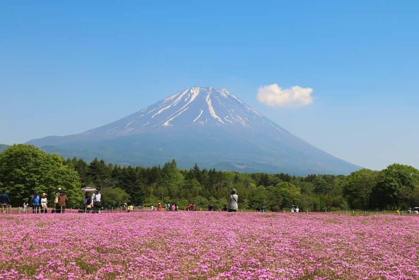1-Day Mt Fuji and Hakone Sightseeing trip from Tokyo - Weather, timing, and the biggest risks