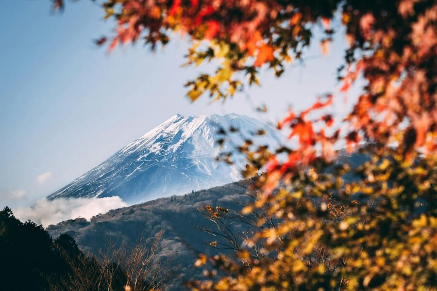 1-Day Mt Fuji and Hakone Sightseeing trip from Tokyo - Chureito Pagoda and the classic Fuji photograph