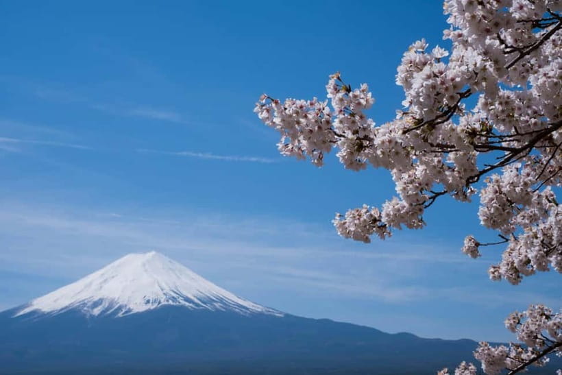 1-Day Mt Fuji and Hakone Sightseeing trip from Tokyo - The real value of $322 per group
