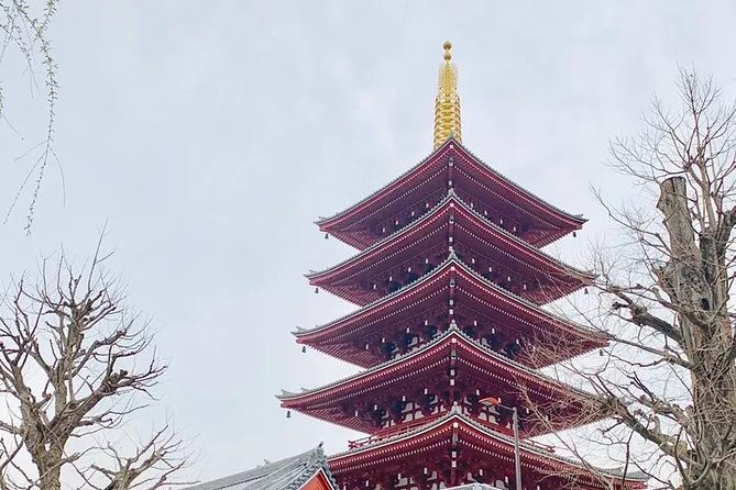 1 Day Private Charter Tokyo Tour (Green Number Plates) - Meiji Shrine and Harajuku show two sides of one district