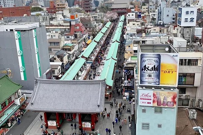 1 Day Private Charter Tokyo Tour (Green Number Plates) - What happens when rain changes the plan