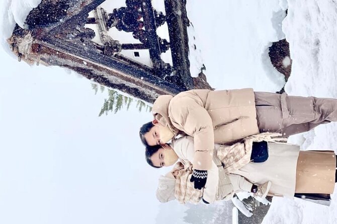 1 Day Private Charter Tour to Shirakawa-go & Takayama - Why this private mountain day trip makes sense