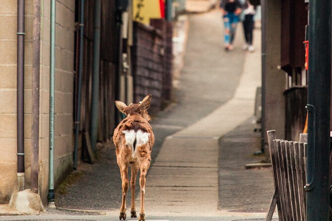 1-Day Private Sightseeing Tour in Hiroshima and Miyajima Island - Food, shrines, and the island’s quieter mood