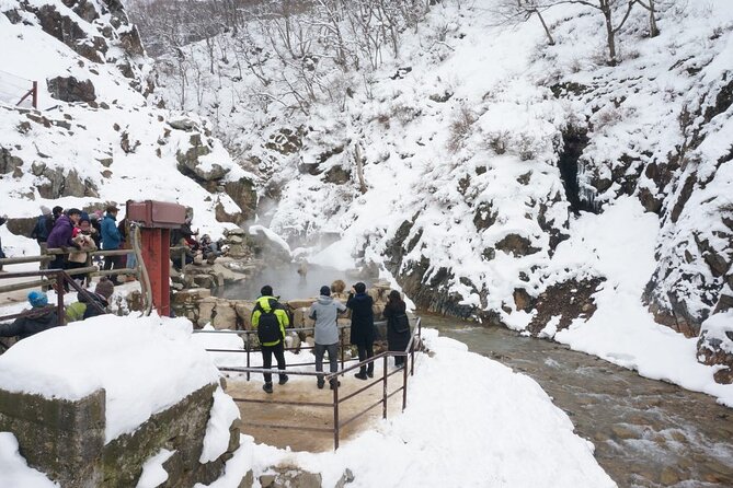 1-Day Snow Monkeys, Zenko-ji Temple & Sake in Nagano - Is $151.88 a fair price?