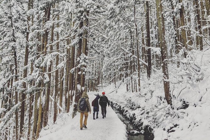 1-Day Snow Monkeys, Zenko-ji Temple & Sake in Nagano - Who should book this experience?