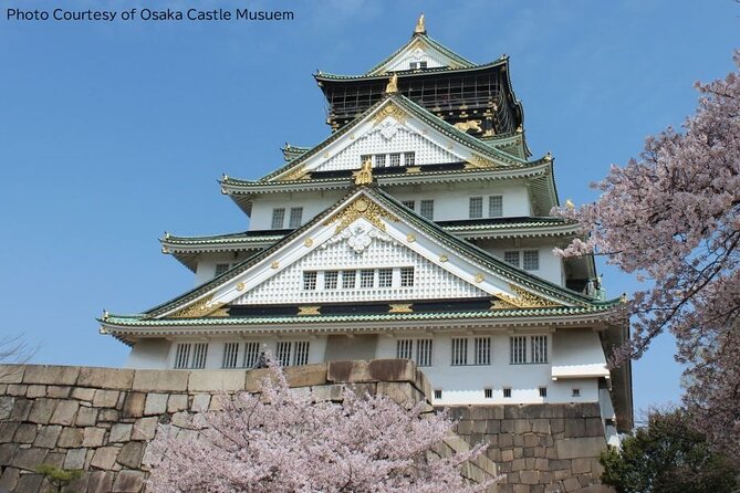 1 Day Takoyaki Making and Osaka Castle Walking Tour - Key points to know before booking