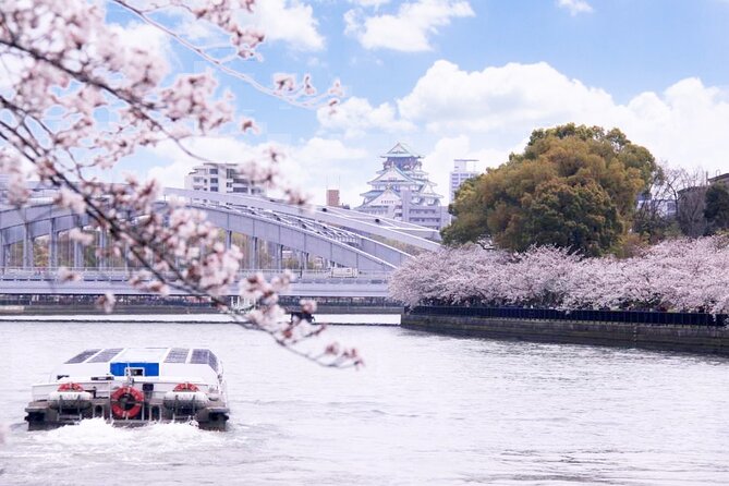 1 Day Takoyaki Making and Osaka Castle Walking Tour - Starting in Namba and heading to Sumiyoshi Taisha