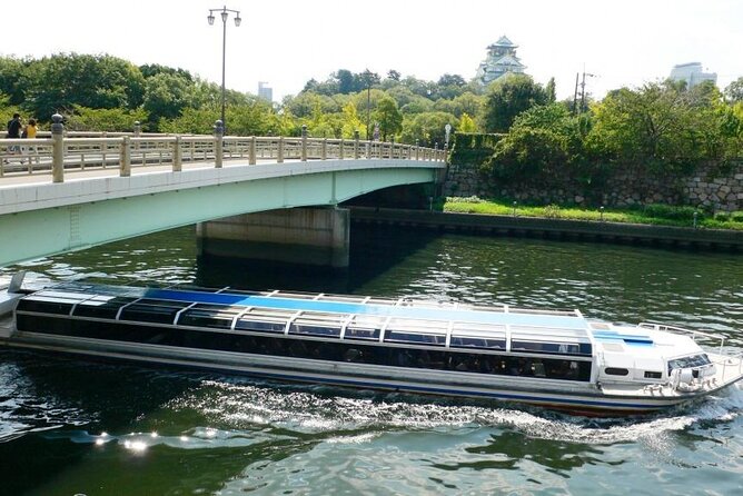 1 Day Takoyaki Making and Osaka Castle Walking Tour - The guide, group size, and pace