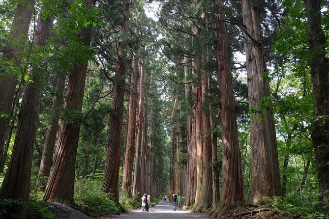 1-Day Togakushi Tour: Soba making, Ninja Town, and Hidden Shrines - Five things to know before you go