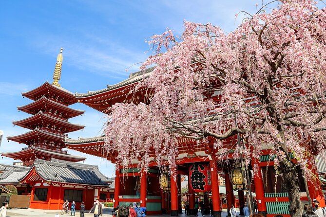 1-Day Tokyo Bus Tour - Key points before you book