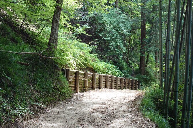 1-Day Tour from Matsumoto: Walk the Nakasendo Trail - Arriving in steep Magome-juku