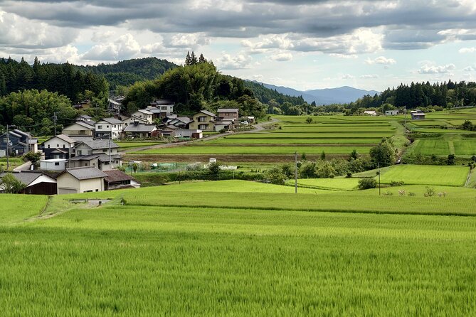 1-Day Tour from Matsumoto: Walk the Nakasendo Trail - Practical advice for a smoother day