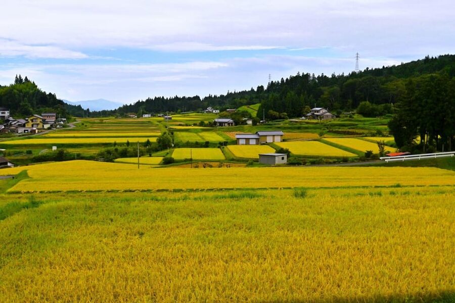 1-Day Tour from Nagoya: Hiking the Historic Nakasendo Trail - Meeting at Nagoya Station without losing your morning
