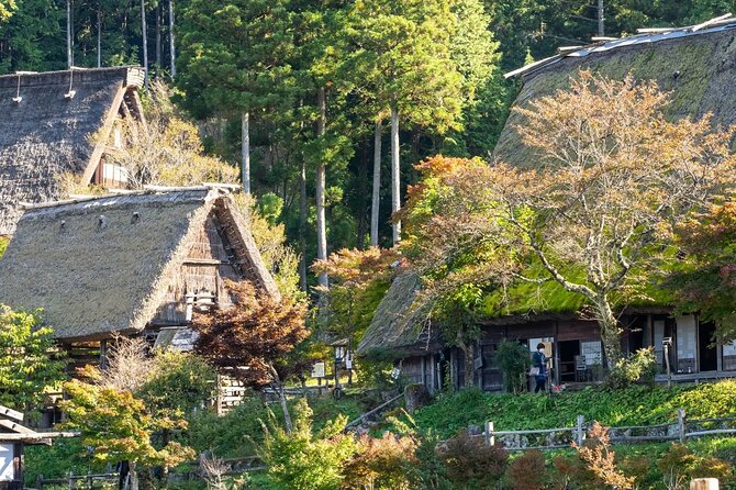 1-Day Tour from Takayama: Hida Folk Village, Caves & Ropeway - What the guide adds to the experience