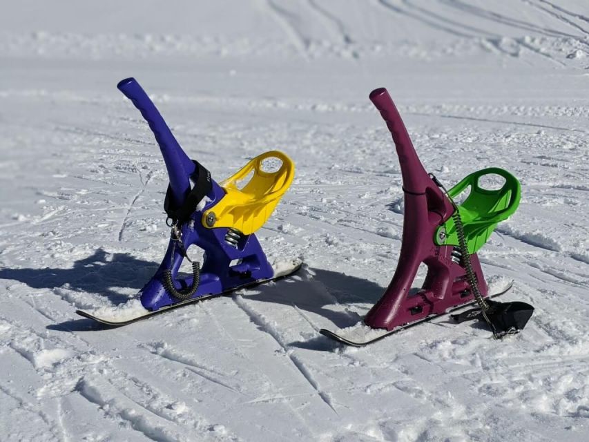 1 Day Tour: Snow Monkeys & Snow Fun in Shiga Kogen - Cost, clothing, and practical value