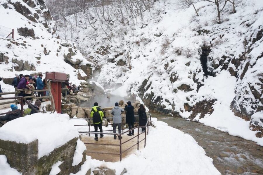 1 Day Tour: Snow Monkeys & Snow Fun in Shiga Kogen - The 1.6-kilometer walk to Jigokudani