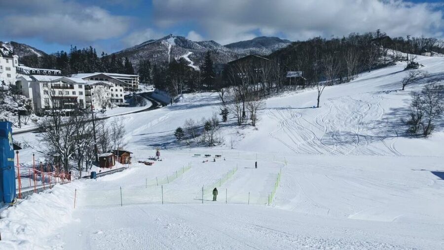 1 Day Tour: Snow Monkeys & Snow Fun in Shiga Kogen - Watching the snow monkeys in their hot springs