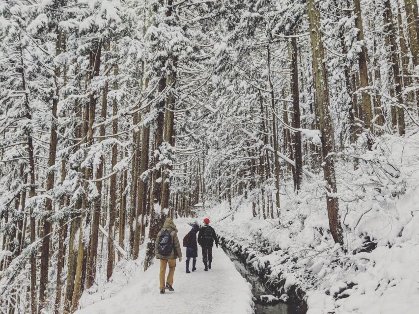 1 Day Tour: Snow Monkeys & Snow Fun in Shiga Kogen - Guides who make the long day easier