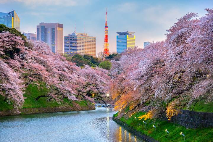10-Day Highlights Of Japan & China by Intertrips Review - Kyoto: temples, shrines and a free day