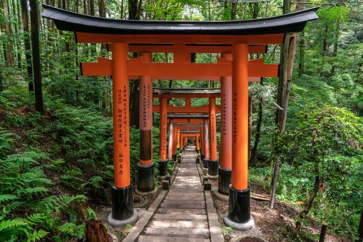 10 Day Highlights of Japan Small Group Tour Package by Tourist Journey Review - Osaka’s castle, canal and neon signs