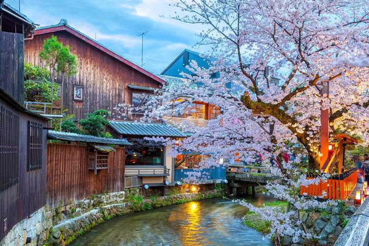 10 Day Highlights of Japan Small Group Tour Package by Tourist Journey Review - What the price covers, and where extra costs appear