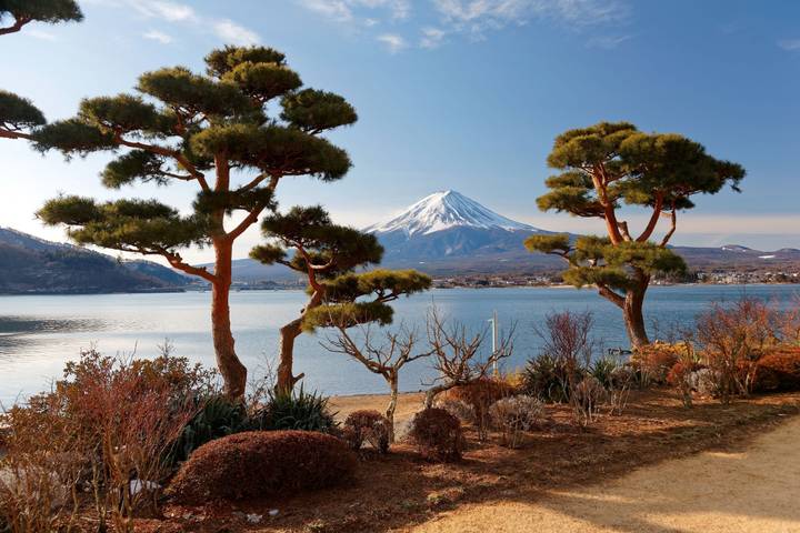 10 Day Highlights of Japan Small Group Tour Package by Tourist Journey Review - Mount Fuji and Nikko: two long days out of town