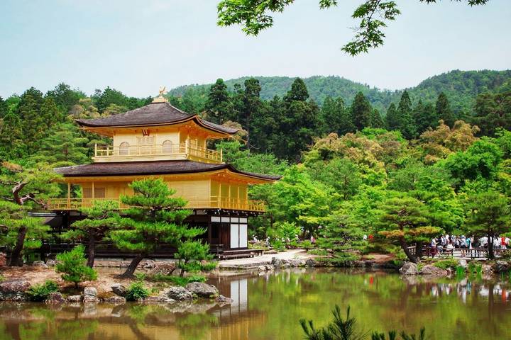 10-Day Highlights of Japan & South Korea by Intertrips Review - The ride back is a real choice