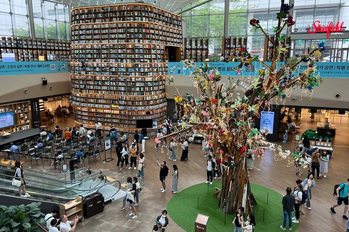10-Day Highlights of Japan & South Korea by Intertrips Review - Who should book this Japan and Korea route