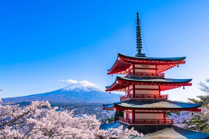 10-Day Private Japan Family Tour with Kids by UME Travel Review - Osaka Castle, ninja practice and street food