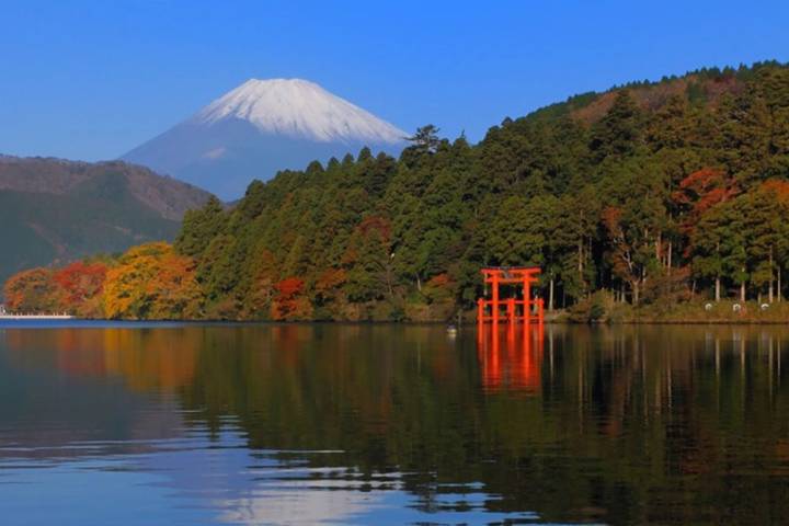 10 Day Southern Japan Cherry Blossom Festival by UME Travel Review - Fushimi and Nara: torii gates, sake, and deer
