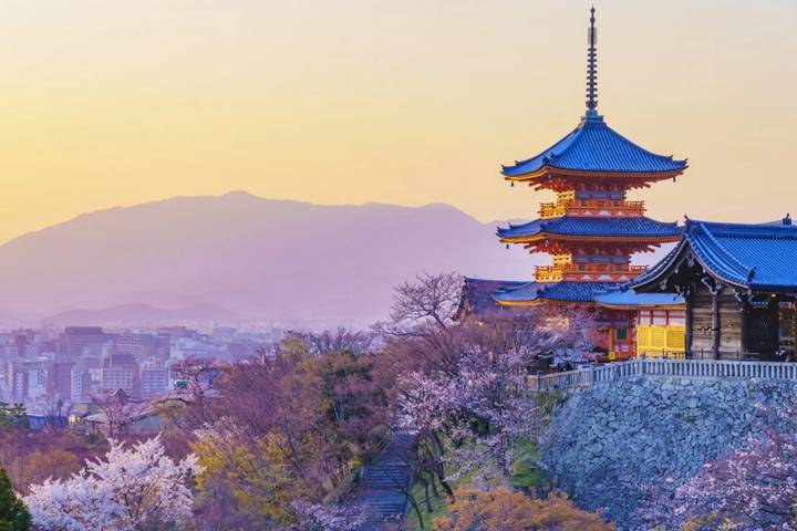 10 Day Southern Japan Cherry Blossom Festival by UME Travel Review - Miyajima: the shrine island before Osaka