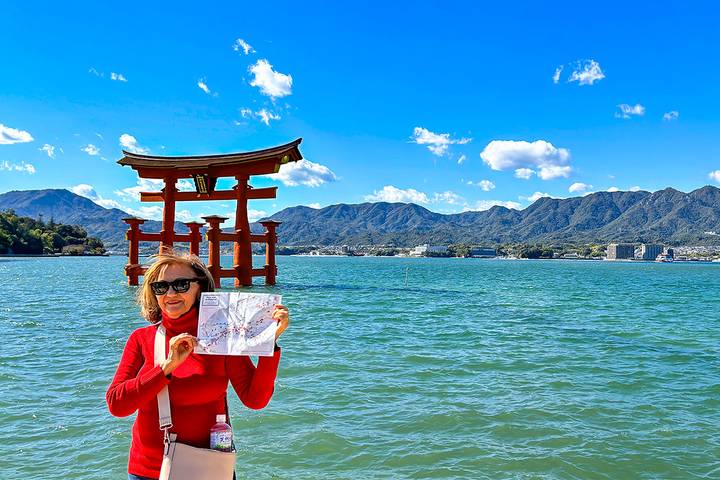 10 Days Classic Japan Super Mini Tour from Tokyo by Agate Travel Review - What the price covers, and where the value lies