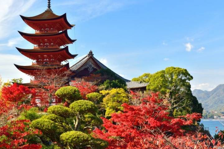 10 Days Japan Delight with Hiroshima (Private Guide No Group) by UME Travel - Kyoto rewards an early start and a short list