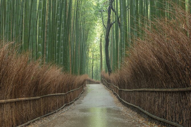10 Must-see Spots in Kyoto One Day Private Tour (up to 7 people) - Why this Kyoto day works for time-tight visitors