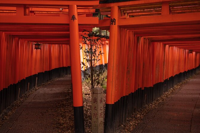 10 Must-see Spots in Kyoto One Day Private Tour (up to 7 people) - Togetsukyo Bridge and the Kimono Forest