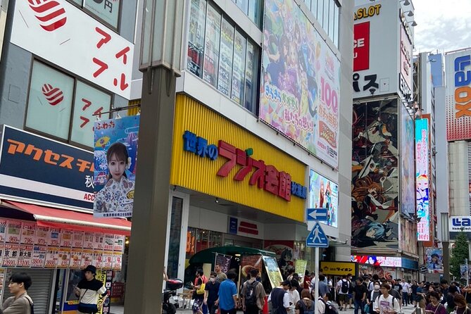100% PRIVATE Anime, Manga, Game & Pop Culture Tour in Akihabara - Onoden, where an electronics store changes character