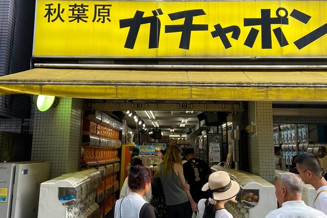 100% PRIVATE Anime, Manga, Game & Pop Culture Tour in Akihabara - Taito Station finishes with Print Club fun
