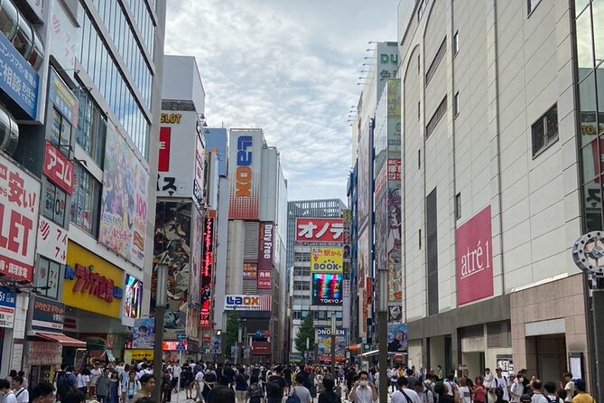 100% PRIVATE Anime, Manga, Game & Pop Culture Tour in Akihabara - What the $99 price really buys you