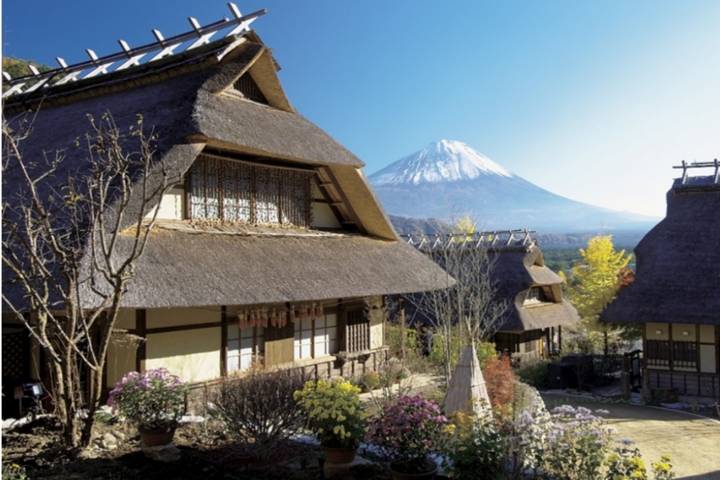 11 Day Explorer Central Japan Snow Monkey Park by UME Travel Review - A Tokyo Arrival, Then Straight Toward Fuji
