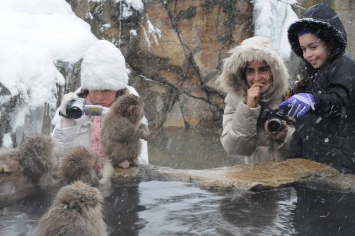 11 Day Explorer Central Japan Snow Monkey Park by UME Travel Review - Fushimi Inari, Uji and Nara