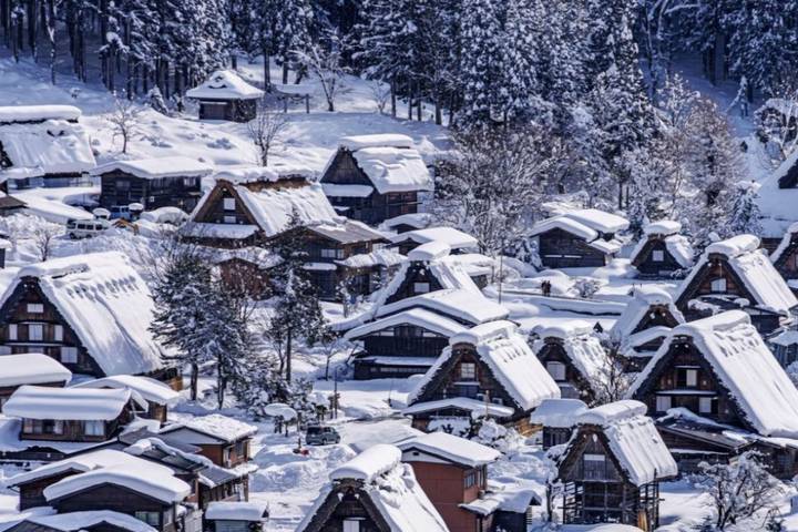 11 Day Explorer Central Japan Snow Monkey Park by UME Travel Review - What the Price Covers, and What It Doesn’t