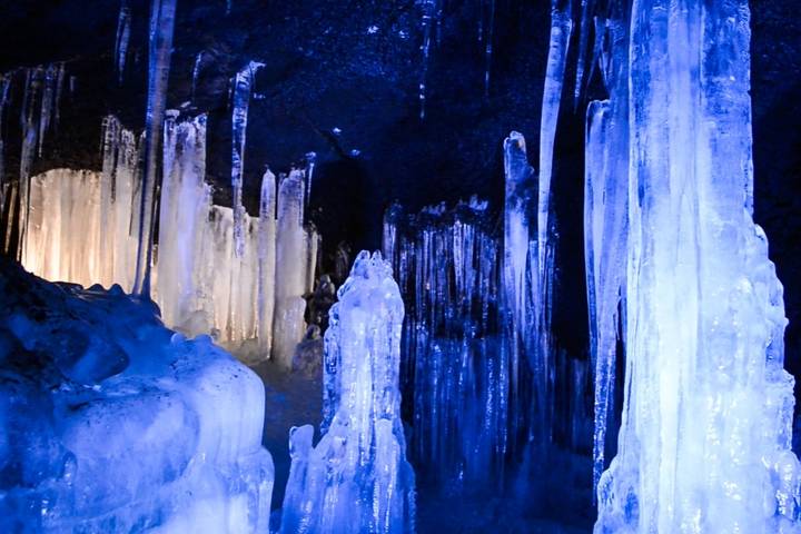 11 Day Explorer Central Japan Snow Monkey Park by UME Travel Review - Suwa Lake and Jigokudani’s Snow Monkeys