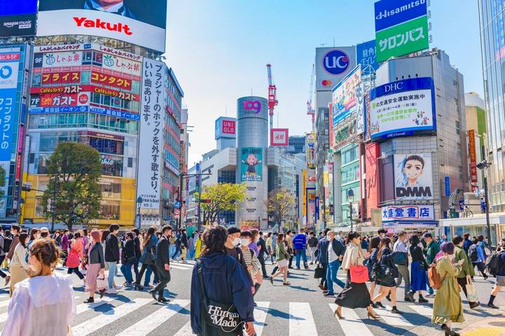 11 Day Highlights of Japan Small Group Tour Package by Tourist Journey Review - Who will get the most from this tour