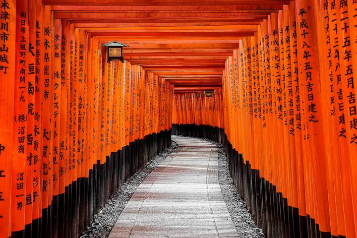 11 Day Highlights of Japan Small Group Tour Package by Tourist Journey Review - Should you book the 11-day Japan tour?