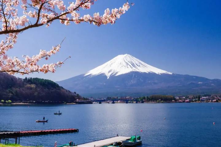 11 Day Southern Japan Cherry Blossom Festival by UME Travel Review - Arashiyama: gardens, bamboo and a slow railway ride
