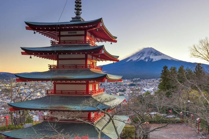 12 Day Best of Japan the Golden Route by Tourist Journey Review - Key points to know before booking