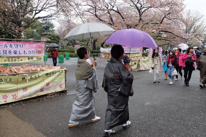 12-Day Japan Family Adventure through Tokyo, Kyoto, Osaka and Beyond by The Dragon Trip - Is this Japan family tour a good fit?