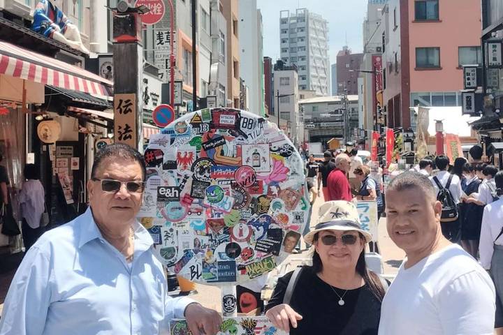 12 Days Japan Grand Luxury Tour Package by Delightful Travel Review - Bullet train back to Osaka, then departure