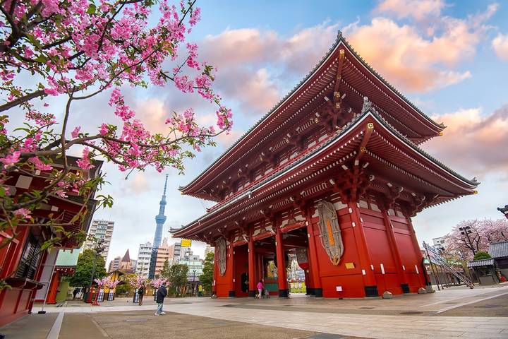 12 Days Japan Grand Luxury Tour Package by Delightful Travel Review - Tokyo begins with temples and palace gardens